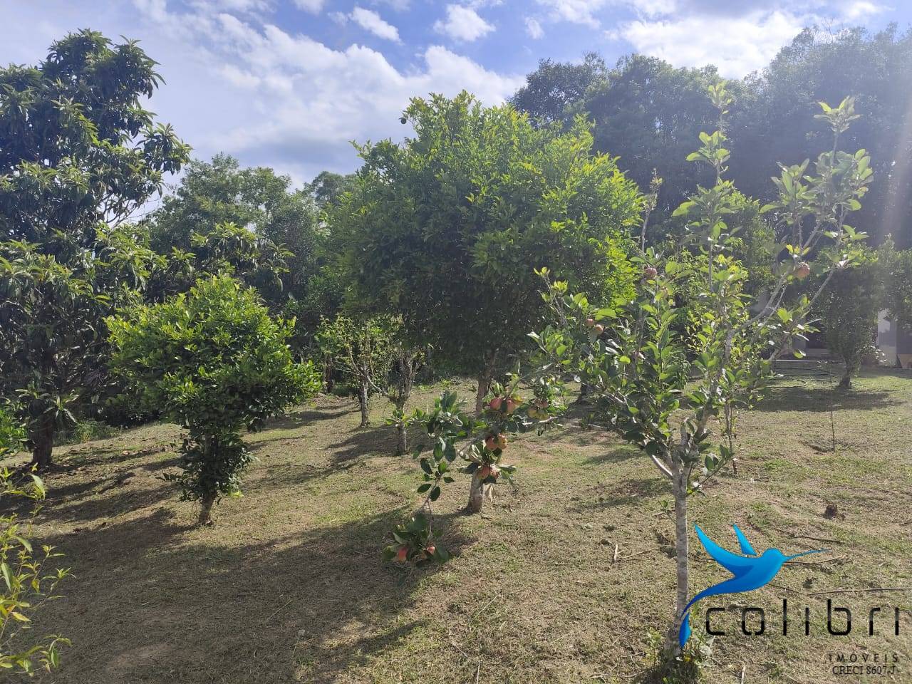 Chácara, 2 quartos, 5177 m² - Foto 9