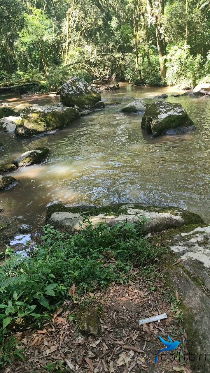 Chácara, 2 quartos, 5177 m² - Foto 10