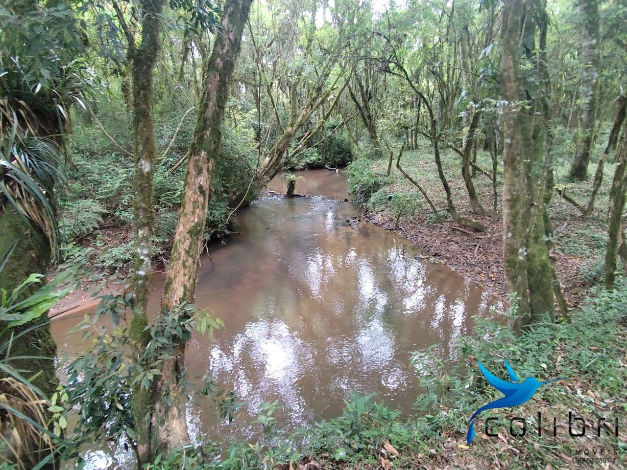 Chácara, 2 quartos, 5177 m² - Foto 16