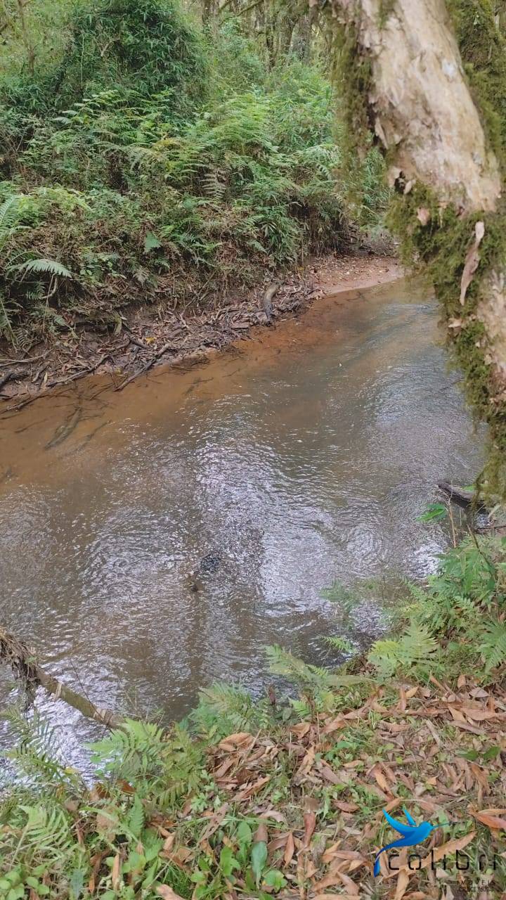 Chácara, 2 quartos, 5177 m² - Foto 15