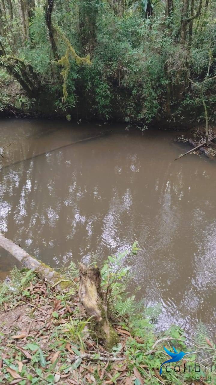 Chácara, 2 quartos, 5177 m² - Foto 14