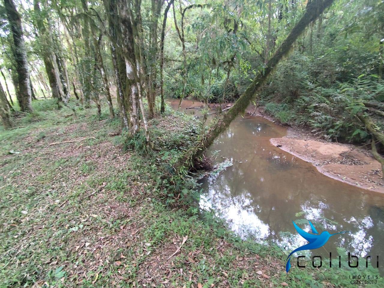 Chácara, 2 quartos, 5177 m² - Foto 17