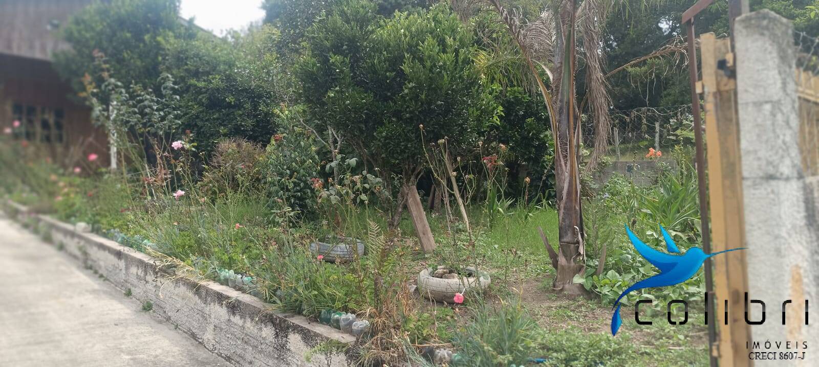 Casa, 2 quartos, 648 m² - Foto 19