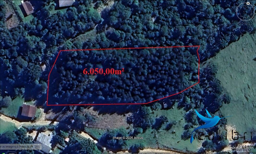 Terreno, 6050 m² - Foto 3