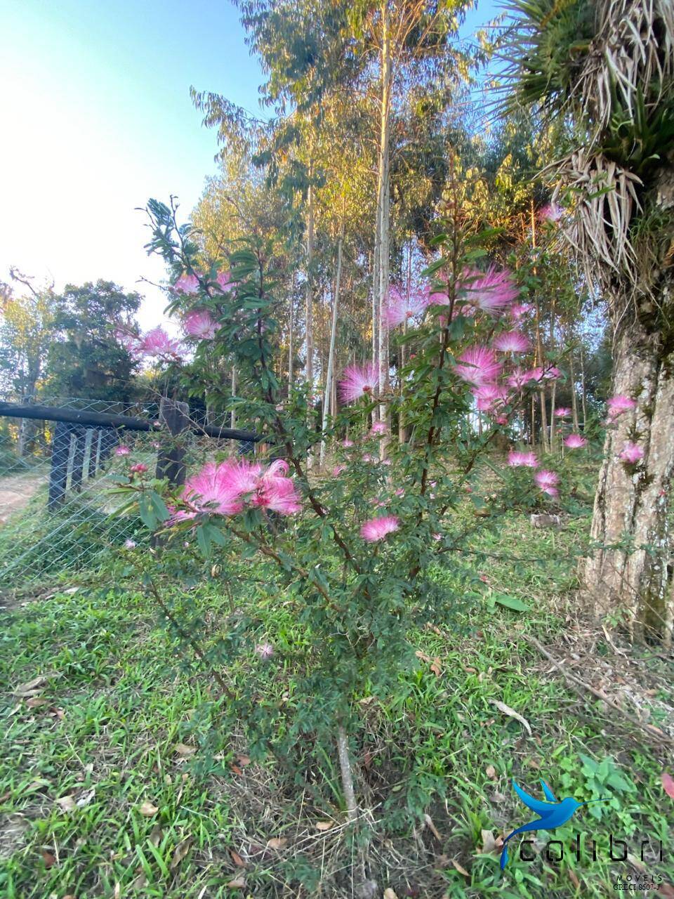 Terreno, 6050 m² - Foto 5