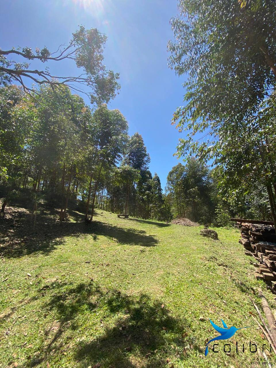 Terreno, 6050 m² - Foto 6