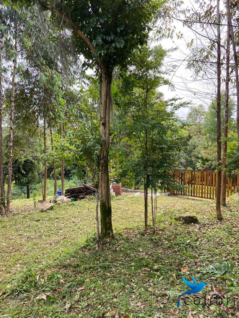 Terreno, 6050 m² - Foto 9