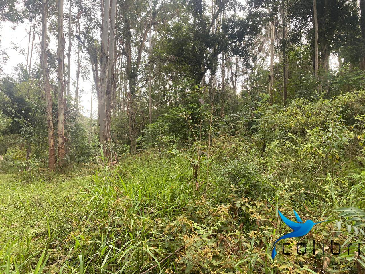 Terreno, 6050 m² - Foto 11