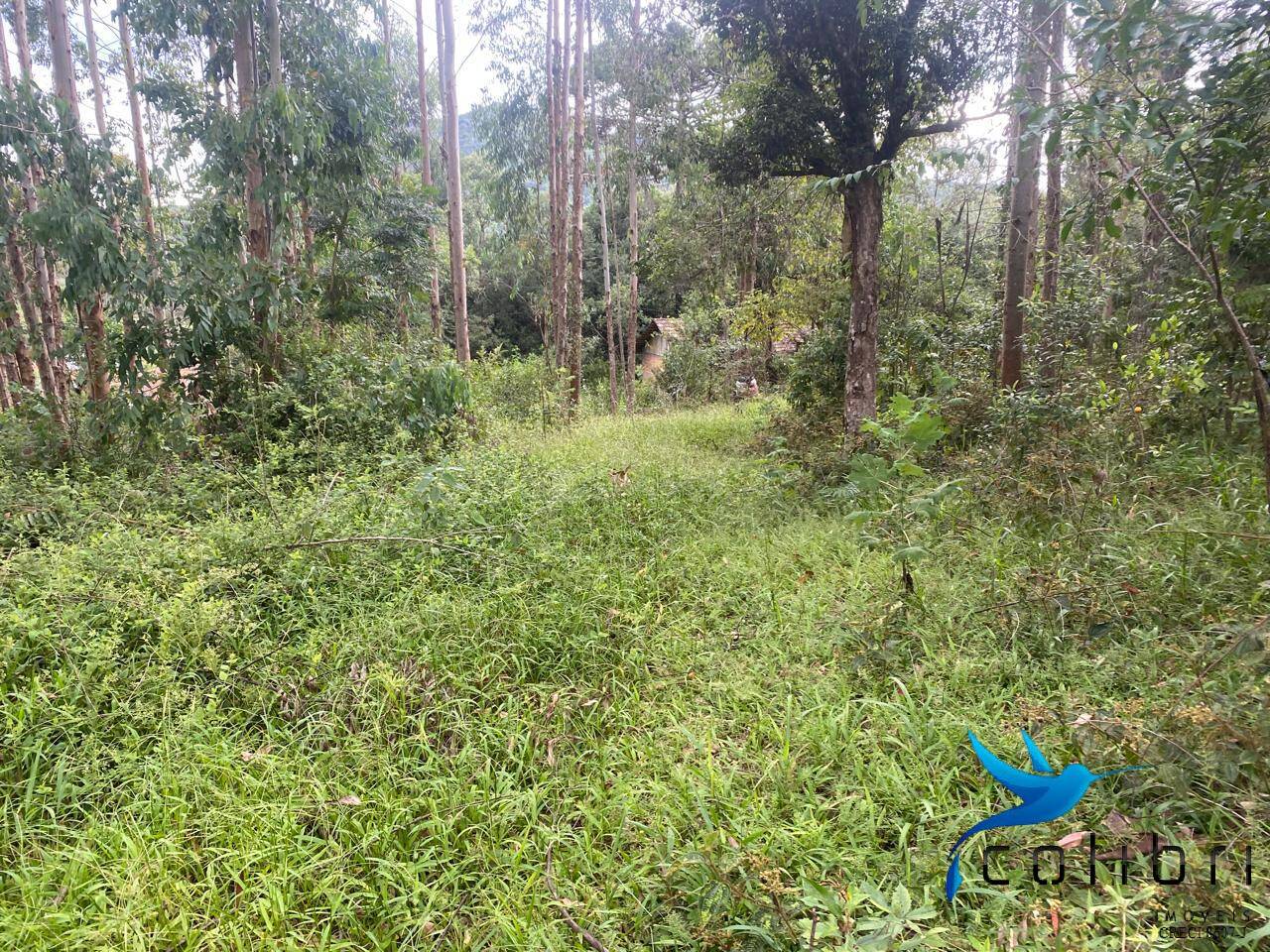 Terreno, 6050 m² - Foto 14