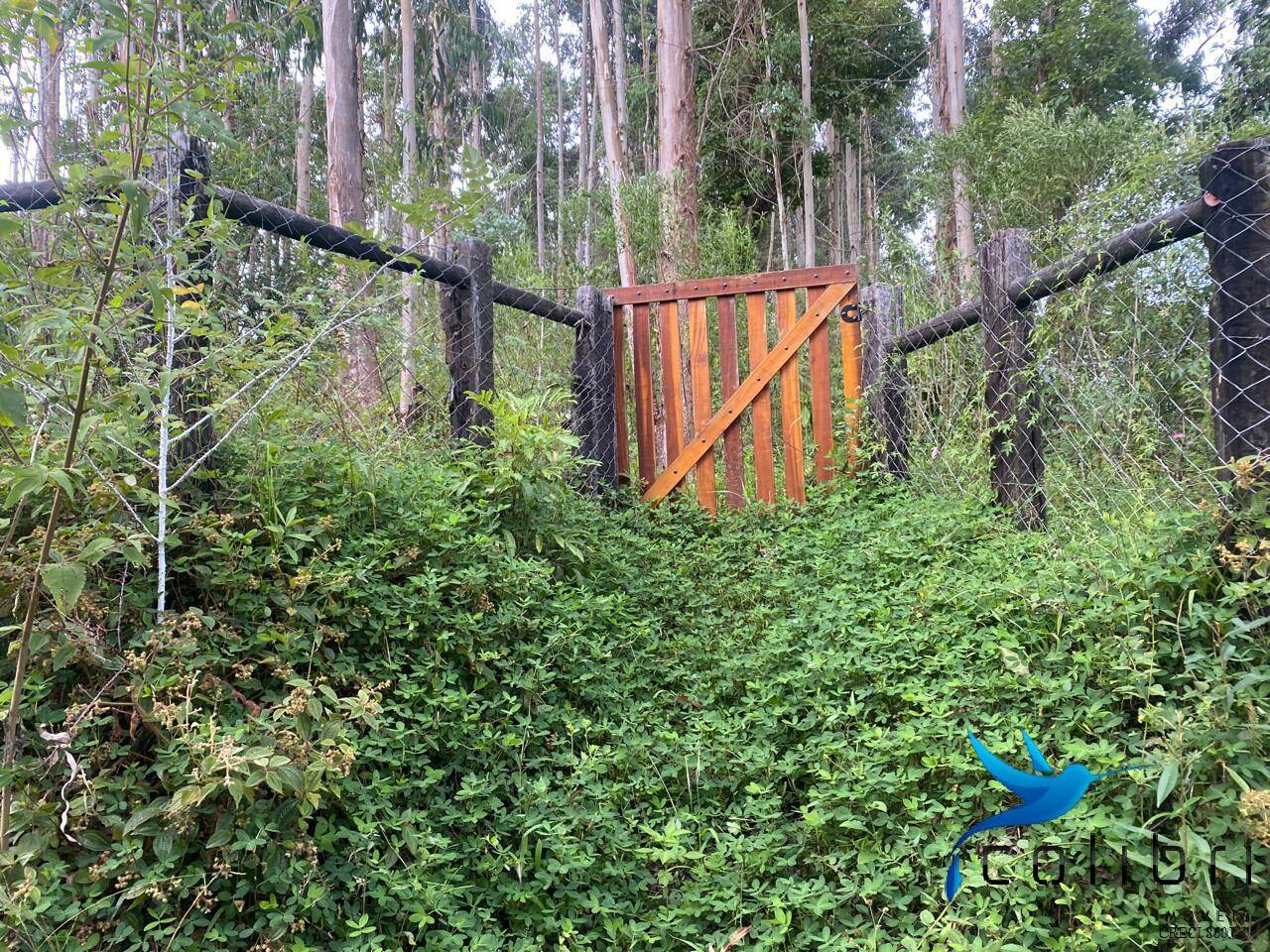 Terreno, 6050 m² - Foto 15