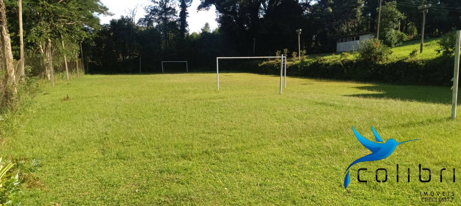 Sítio, 13 quartos, 13 hectares - Foto 5