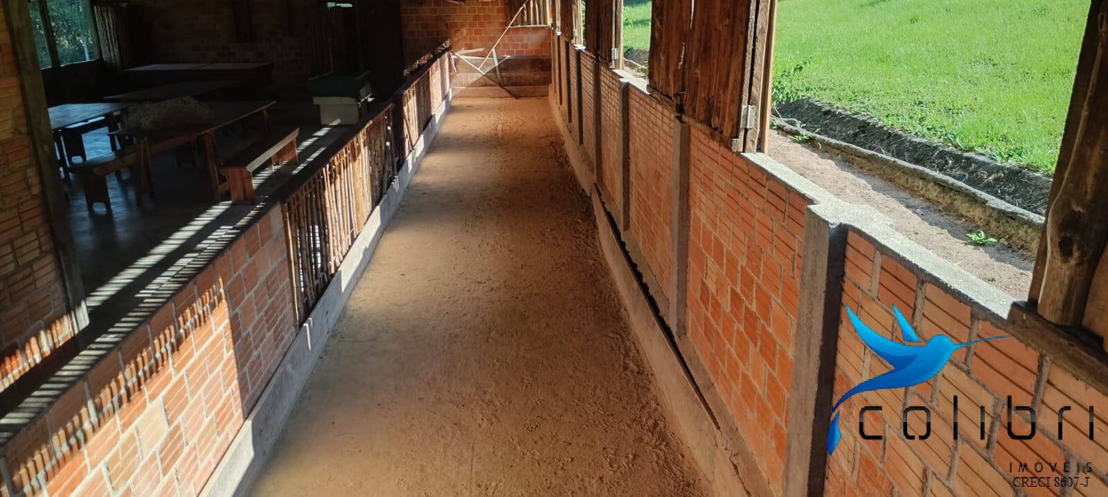 Sítio, 13 quartos, 13 hectares - Foto 8