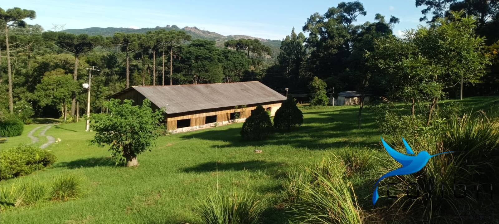 Sítio, 13 quartos, 13 hectares - Foto 12