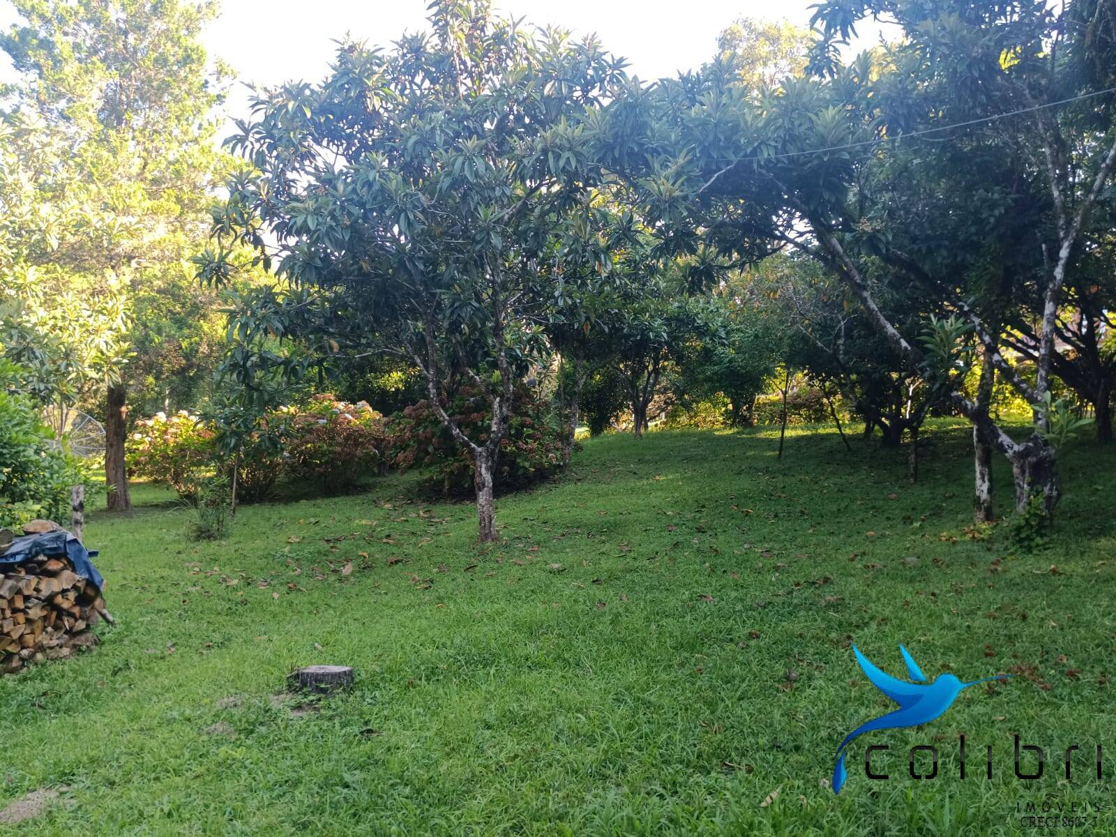 Sítio, 13 quartos, 13 hectares - Foto 13