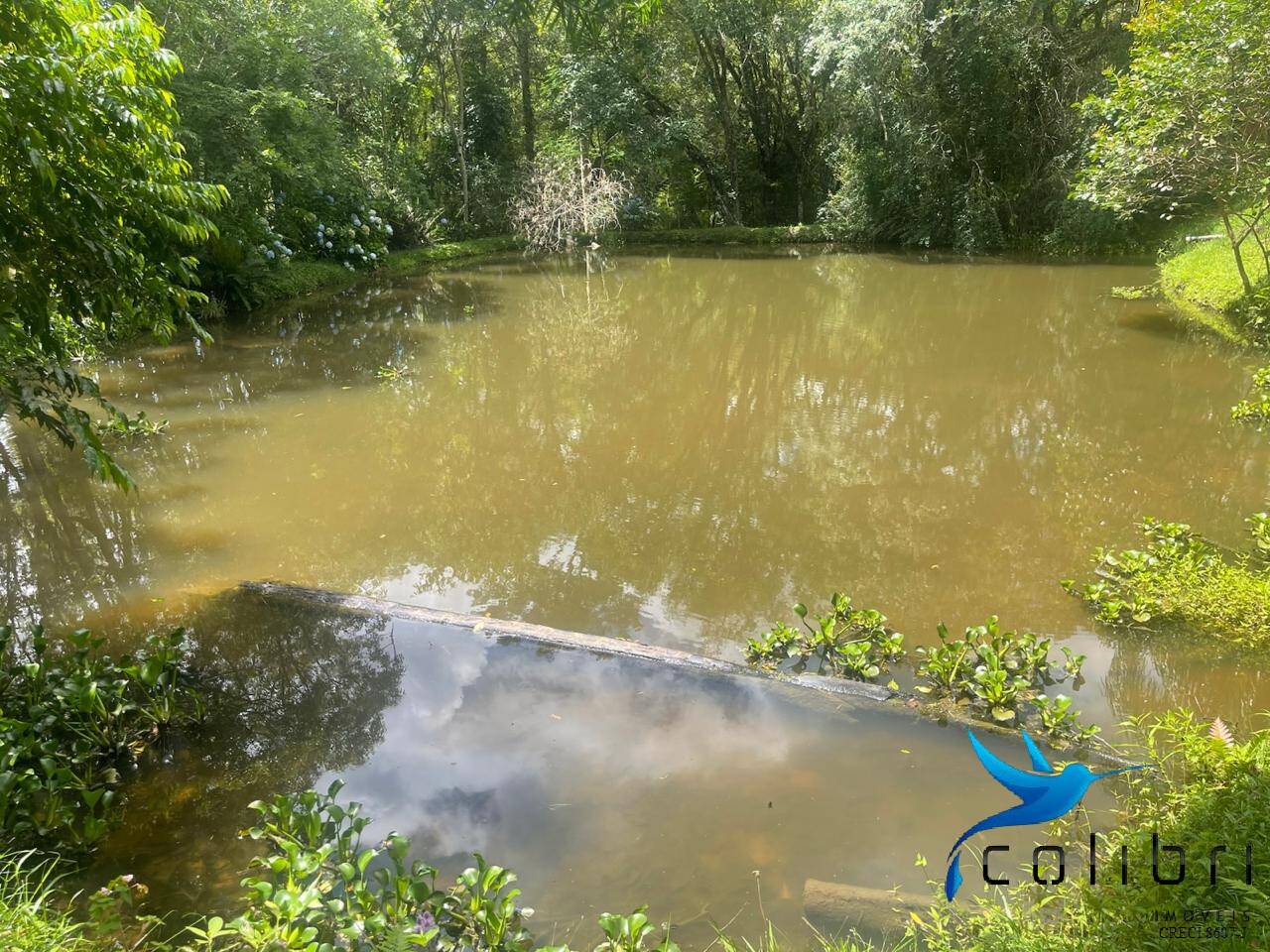 Sítio, 13 quartos, 13 hectares - Foto 21