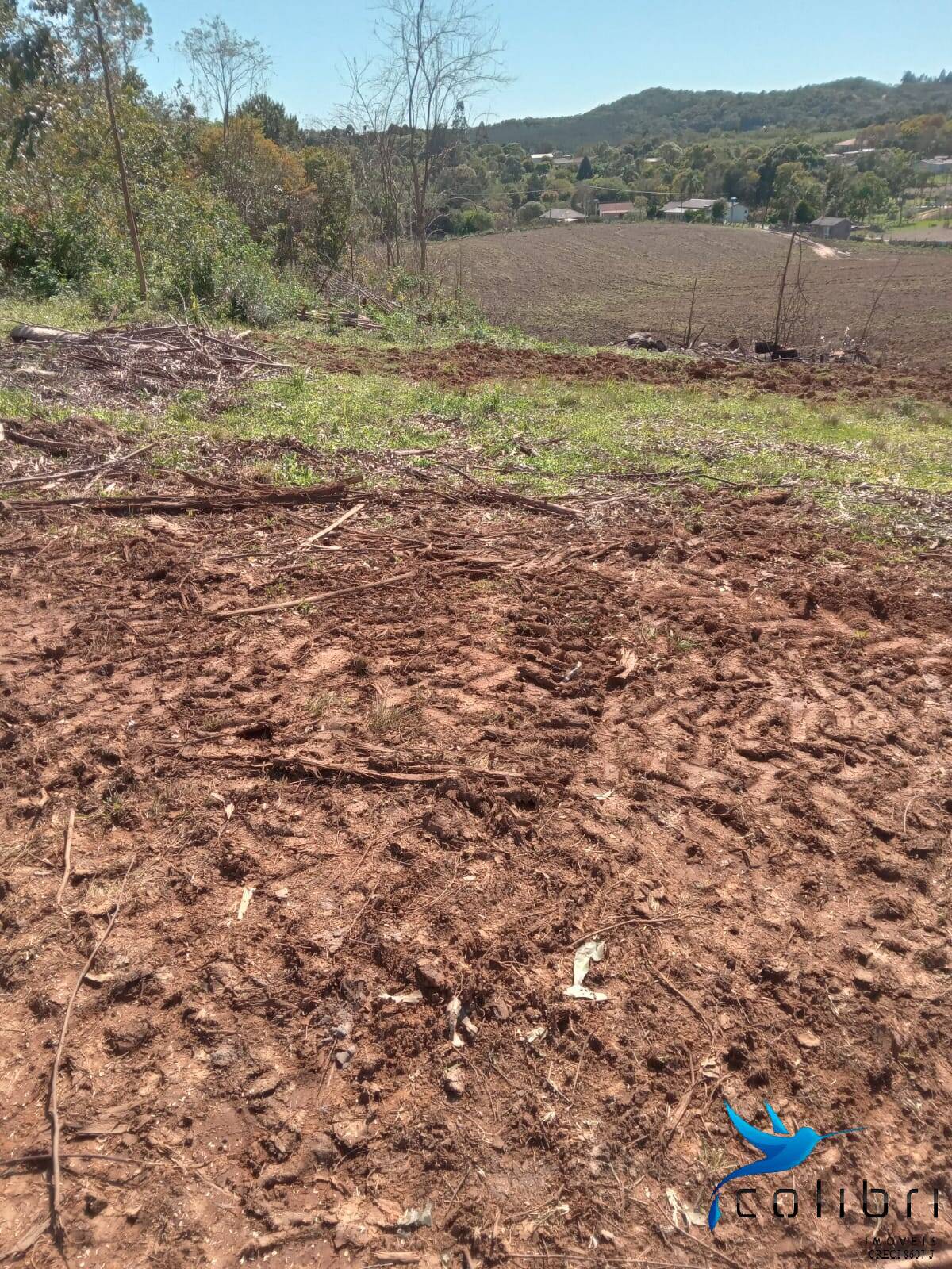 Terreno, 5 hectares - Foto 4