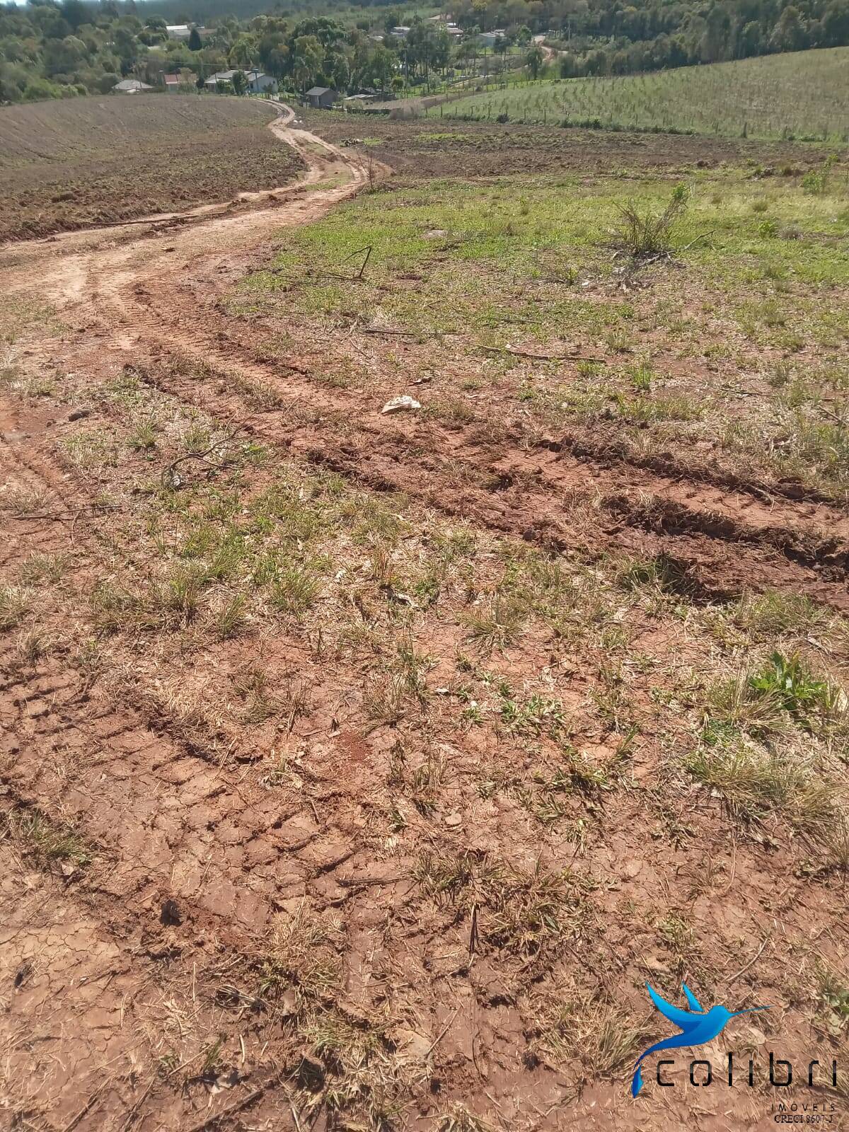Terreno, 5 hectares - Foto 8