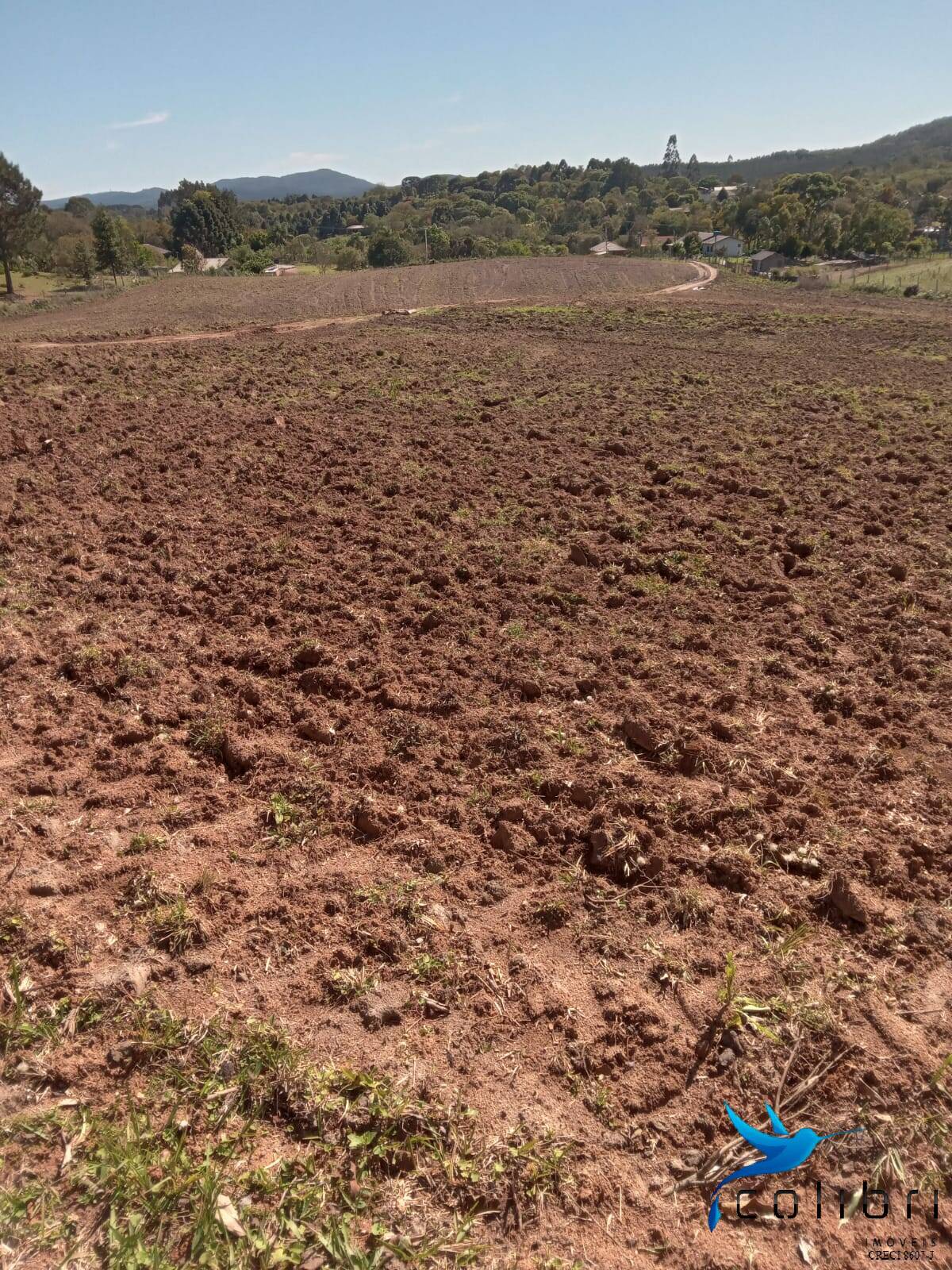 Terreno, 5 hectares - Foto 9