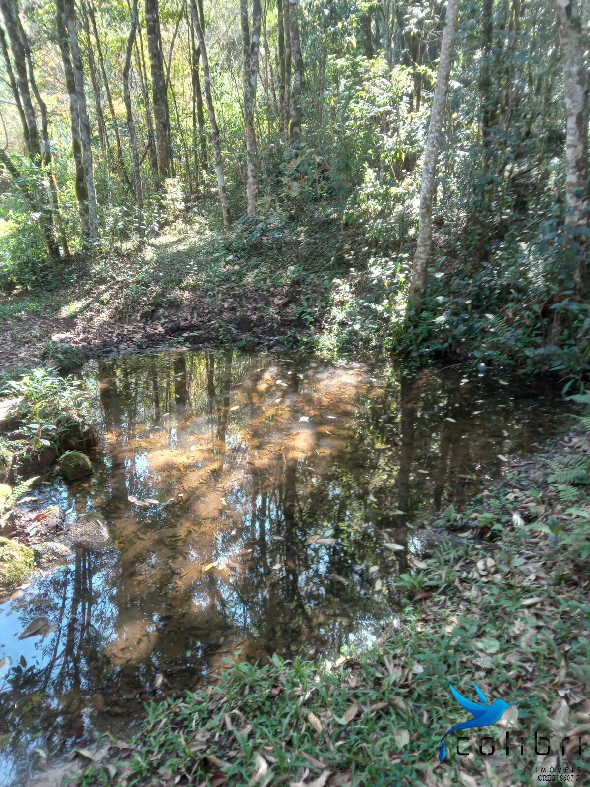 Terreno, 5 hectares - Foto 13