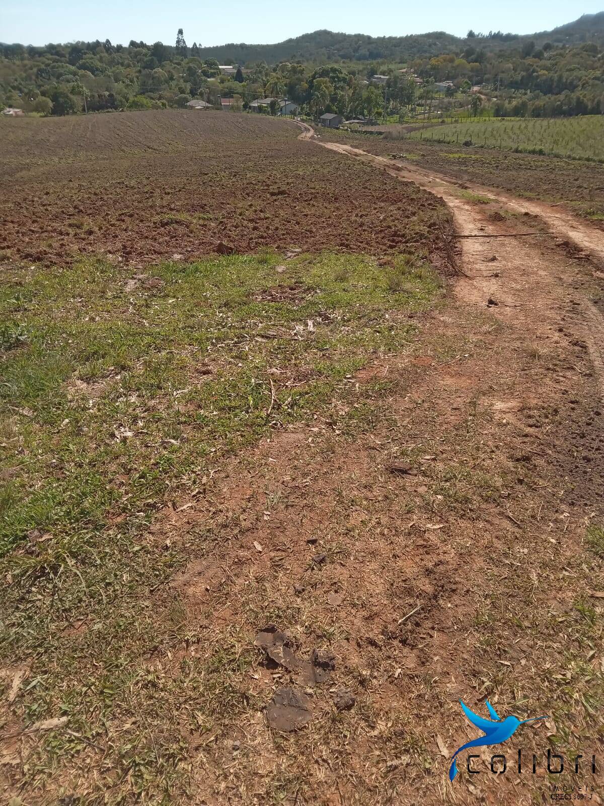 Terreno, 5 hectares - Foto 15