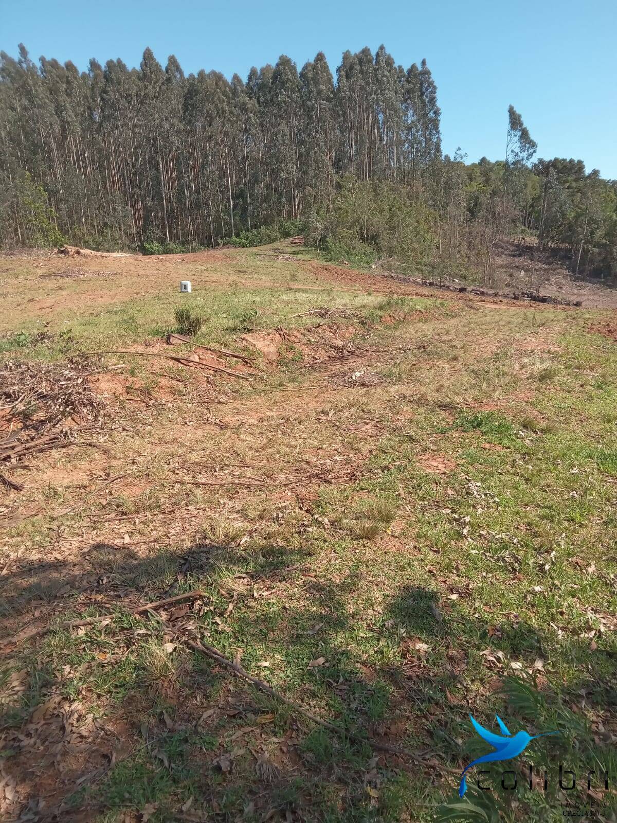 Terreno, 5 hectares - Foto 16