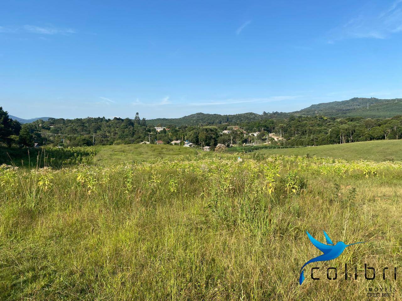 Terreno, 5 hectares - Foto 19