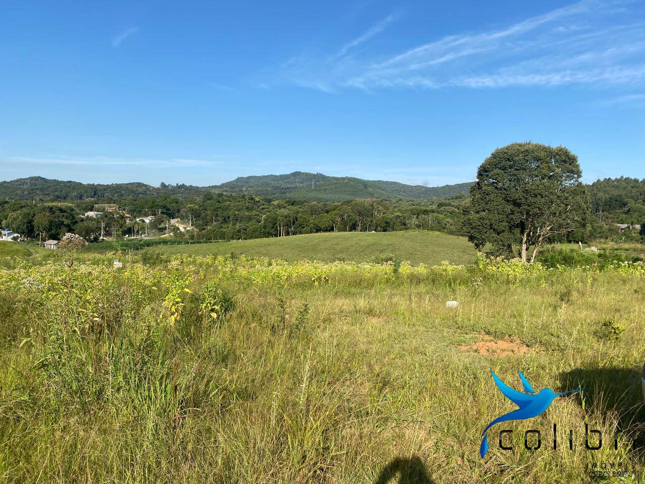 Terreno, 5 hectares - Foto 20