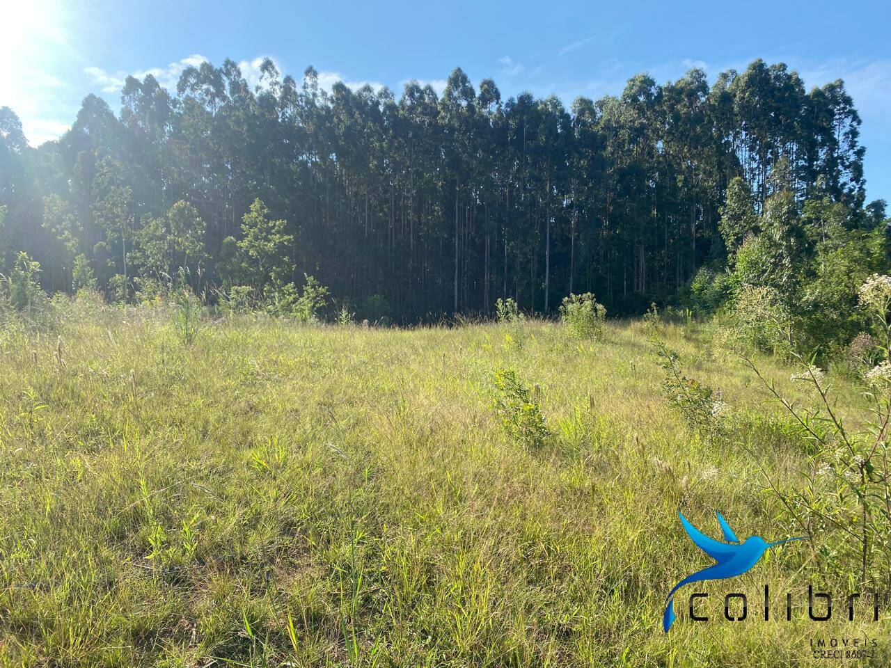 Terreno, 5 hectares - Foto 18