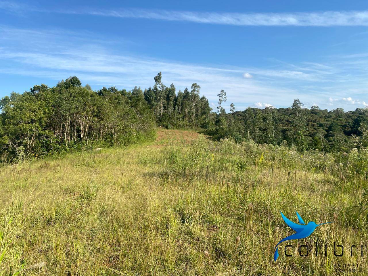 Terreno, 5 hectares - Foto 21