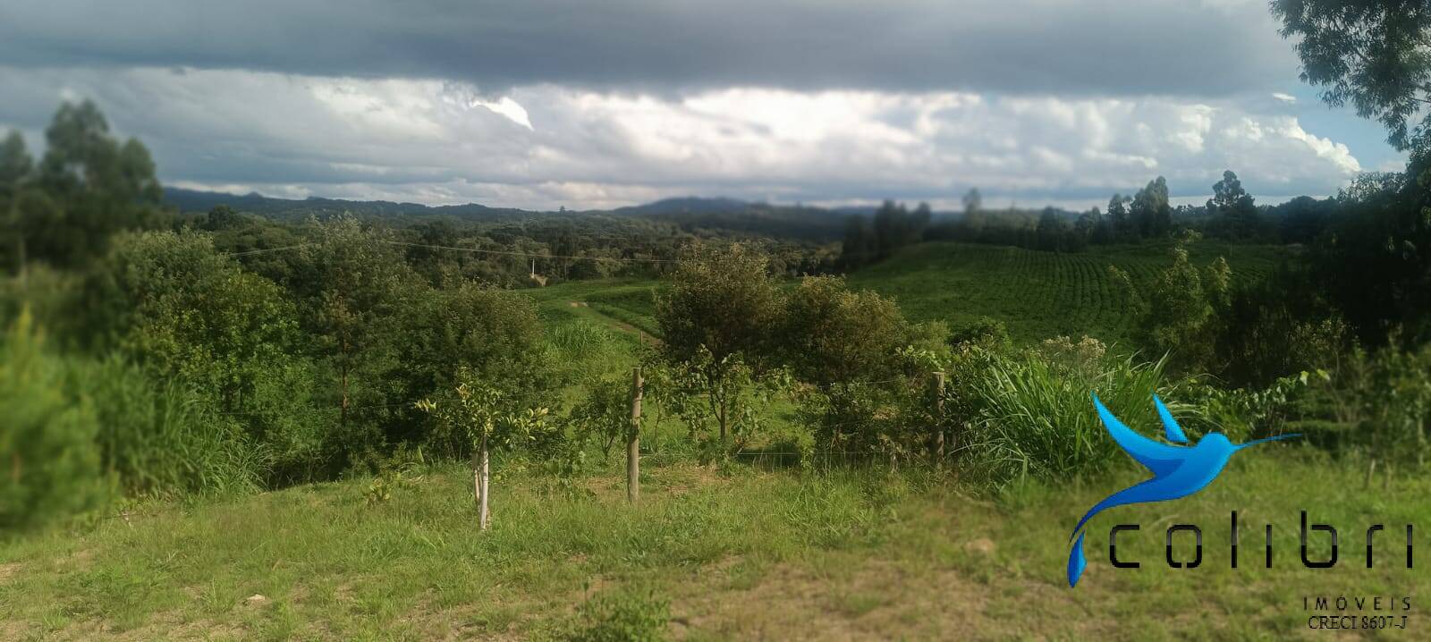 Sítio, 1 quarto, 22 hectares - Foto 6