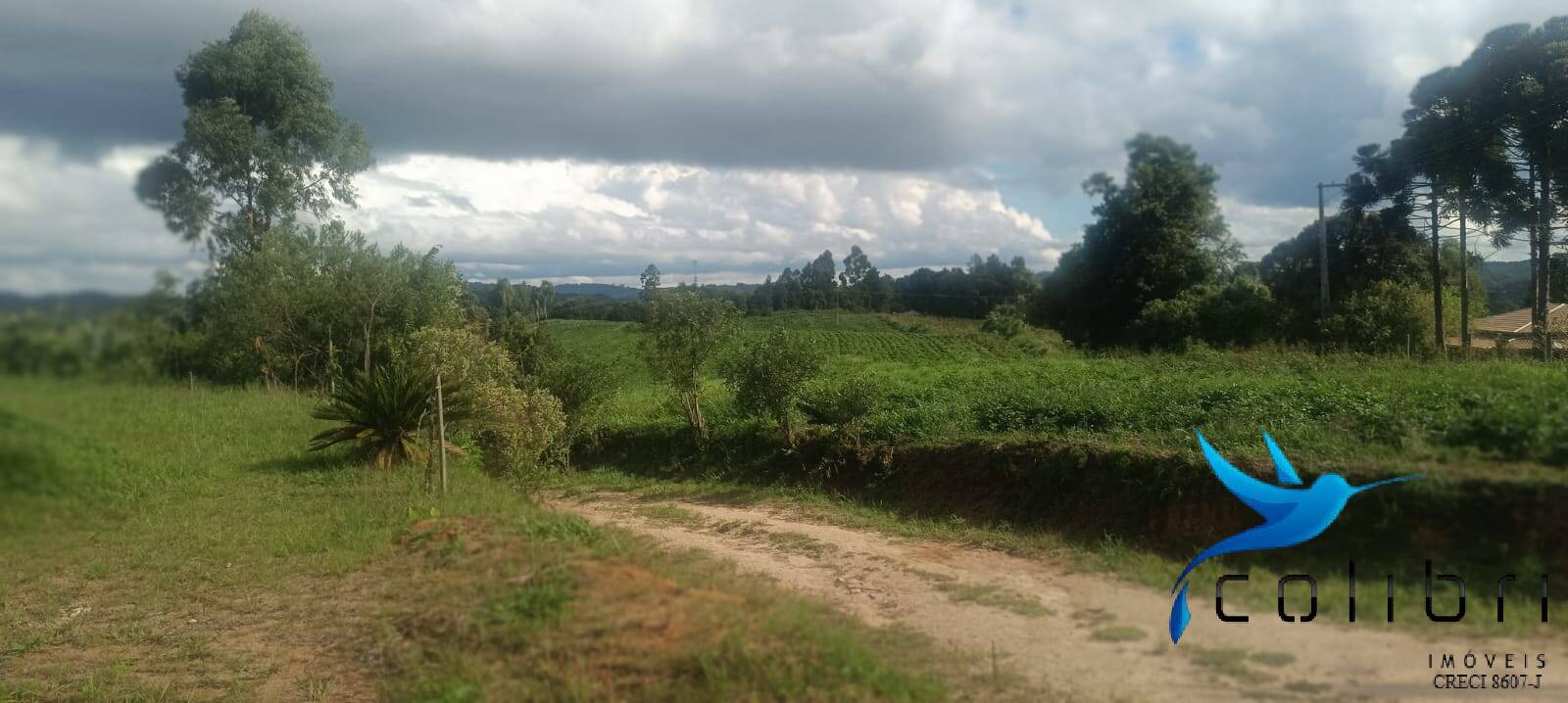 Sítio, 1 quarto, 22 hectares - Foto 8