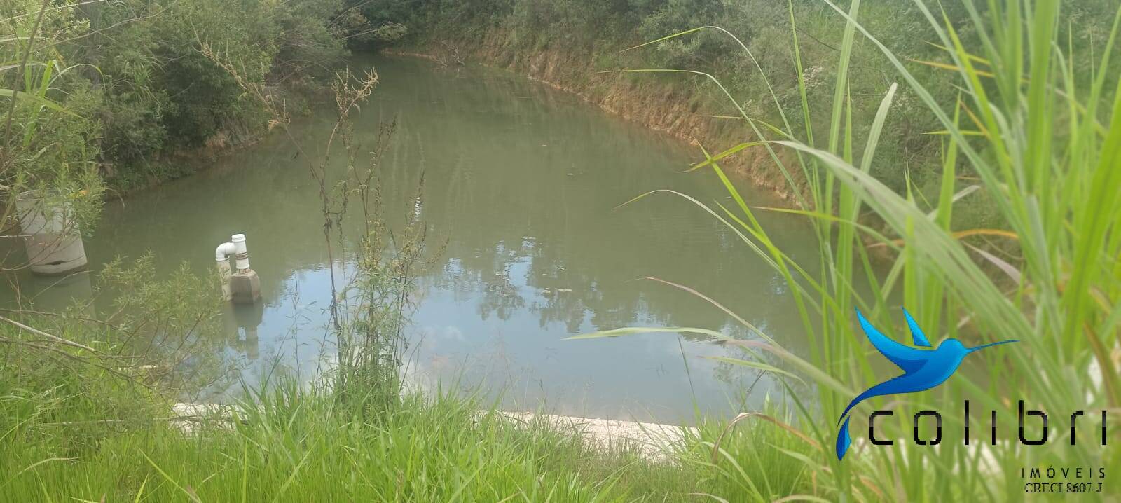 Sítio, 1 quarto, 22 hectares - Foto 14