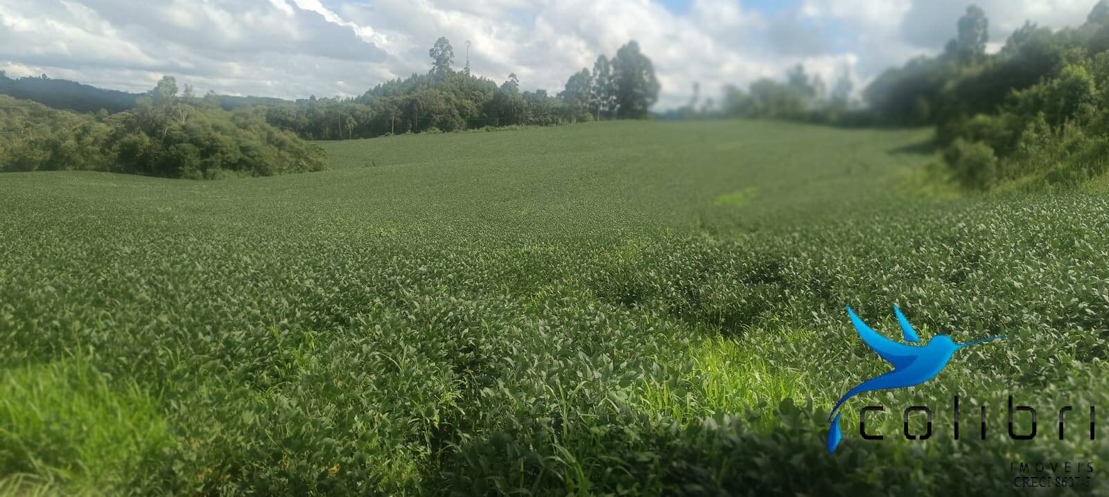 Sítio, 1 quarto, 22 hectares - Foto 1