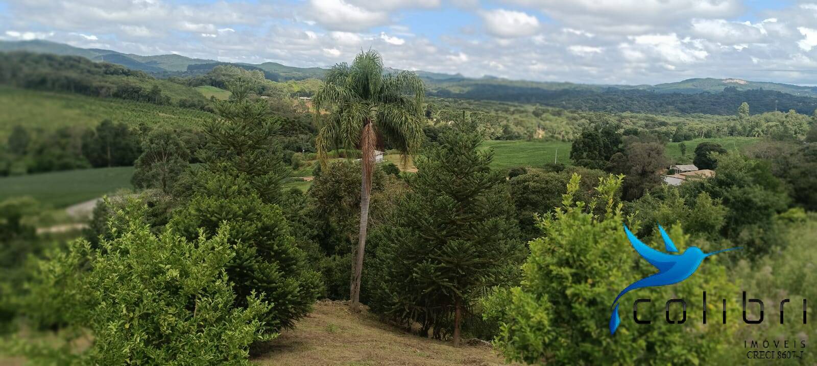 Sítio, 1 quarto, 22 hectares - Foto 17
