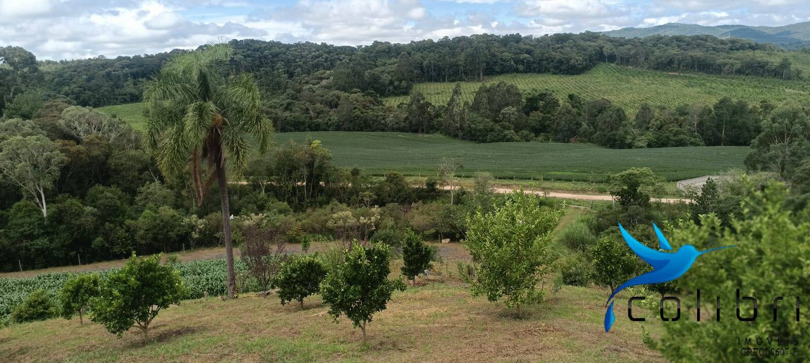 Sítio, 1 quarto, 22 hectares - Foto 2